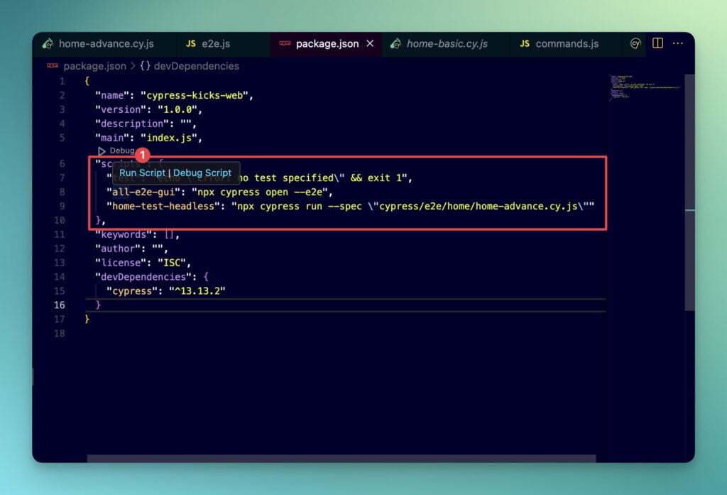 cyprsss-open-package-json