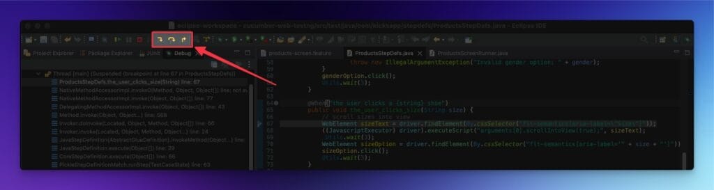 Eclipse: Step Control Options
