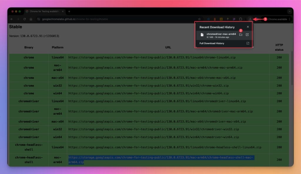 ChromeDriver: Downloaded